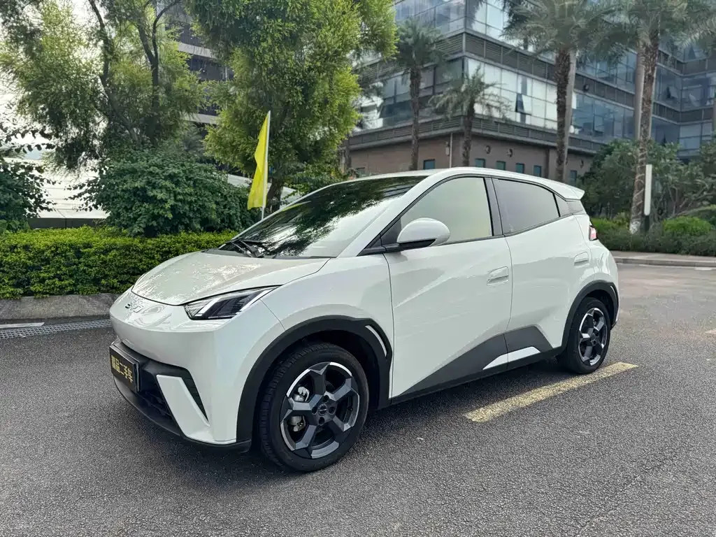 2024 BYD Seagull EV 305km Honor Freedom