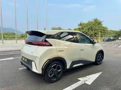 2024 BYD Seagull EV 305km Honor Freedom, белый — фото 13