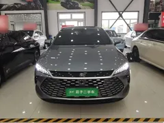 2025 BYD Qin PLUS DM-i 55KM — фото 3