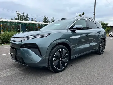 2025 BYD Tang L DM 175KM