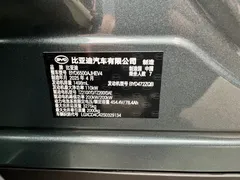 2025 BYD Tang L DM 175KM, зелёный — фото 10