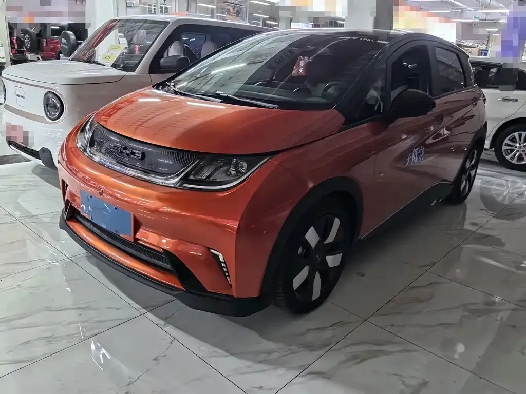 2023 BYD Dolphin 401km Knight