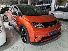 2023 BYD Dolphin 401km Knight — фото 3