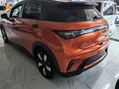 2023 BYD Dolphin 401km Knight — фото 4