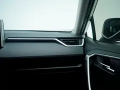 2020 Toyota RAV4 2.0L CVT, белый — фото 20