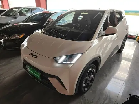 2025 BYD Seagull 305km Freedom