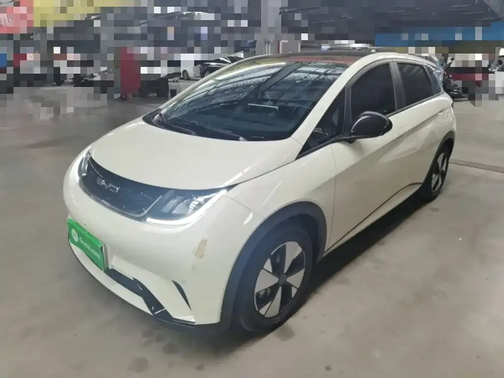 2023 BYD Dolphin 420km Fashion