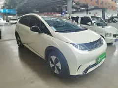 2023 BYD Dolphin 420km Fashion, белый — фото 4
