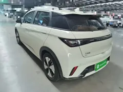 2023 BYD Dolphin 420km Fashion, белый — фото 5