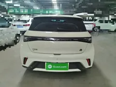 2023 BYD Dolphin 420km Fashion, белый — фото 6