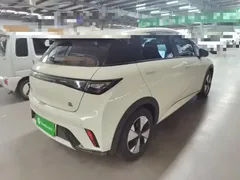 2023 BYD Dolphin 420km Fashion, белый — фото 7