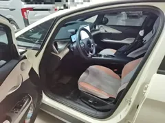 2023 BYD Dolphin 420km Fashion, белый — фото 16