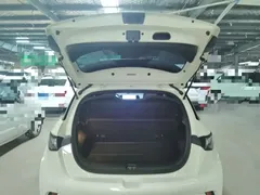 2023 BYD Dolphin 420km Fashion, белый — фото 19