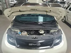 2023 BYD Dolphin 420km Fashion, белый — фото 20