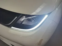 2023 BYD Dolphin 420km Fashion, белый — фото 24
