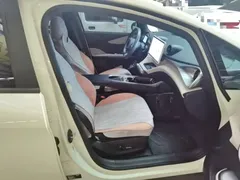 2023 BYD Dolphin 420km Fashion, белый — фото 25