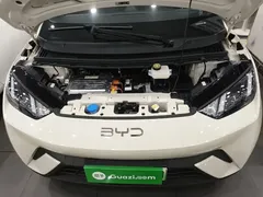 2025 BYD Seagull 305km Freedom, белый — фото 20