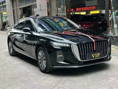 2023 Hongqi H5 2.0T, чёрный — фото 15