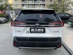 2022 Toyota Wildlander 2.0L CVT 2WD Luxury Plus, белый — фото 8