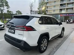 2022 Toyota Wildlander 2.0L CVT 2WD Luxury Plus, белый — фото 9