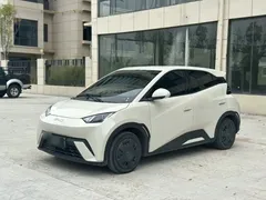 2023 BYD Seagull Vitality, белый — фото 2