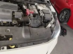 2021 Nissan Sylphy 1.6L XL CVT, белый — фото 20