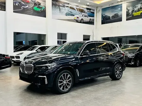 2022 BMW X5 30Li M Sport Package