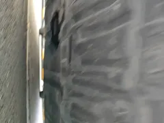 2022 Nissan Sylphy 1.6L XL CVT, белый — фото 21