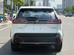 2021 Toyota Wildlander 2.0L CVT 2WD Luxury, белый — фото 5