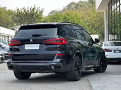2022 BMW X5 30Li Premium M Sport Package, чёрный — фото 16