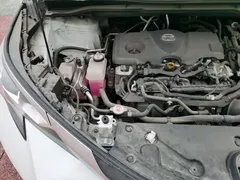 2021 Toyota Sienna 2.5L, белый — фото 20