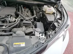 2021 Toyota Sienna 2.5L, белый — фото 21
