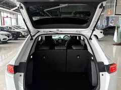2023 Honda XR-V 1.5L CVT, белый — фото 15