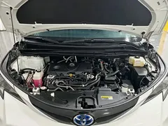 2021 Toyota Sienna 2.5L Hybrid Premium, белый — фото 19