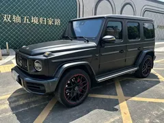 2021 Mercedes-Benz G-Class G 500 Special Edition — фото 1