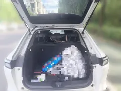 2023 Honda XR-V 1.5L CVT, белый — фото 15