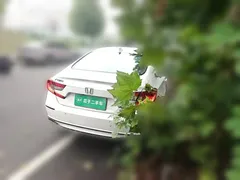 2018 Honda Accord 260TURBO Luxury, белый — фото 4