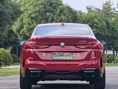 2021 BMW 2 Series 225i Gran Coupe M Sport Night Package — фото 4