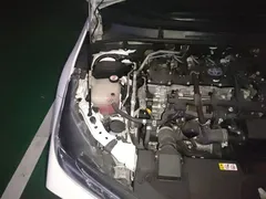2021 Toyota Corolla Hybrid 1.8L E-CVT Elite, белый — фото 20