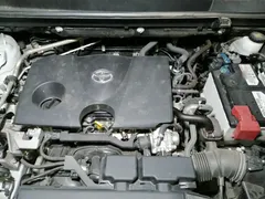 2022 Toyota Wildlander 2.0L CVT 2WD Luxury Plus, белый — фото 21