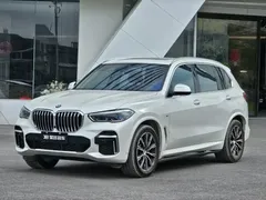 2022 BMW X5 30Li Premium M Sport Package, белый — фото 13