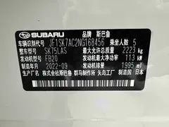 2022 Subaru Forester 2.0i AWD Luxury EyeSight, белый — фото 22