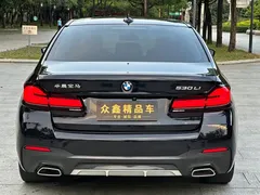 2022 BMW 5 Series 530Li Leading M Sport Package, чёрный — фото 15