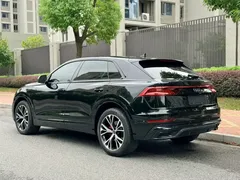2022 Audi Q8 55 TFSI Luxury Dynamic, чёрный — фото 13