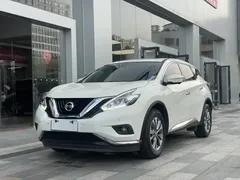 2021 Nissan Murano 2.5L XL 2WD Luxury, белый — фото 17