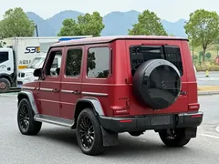 2021 Mercedes-Benz G-Class G 500 Special Edition — фото 4