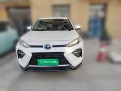 2021 Toyota Wildlander Hybrid 2.5L E-CVT 2WD Luxury, белый — фото 2