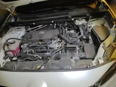 2021 Toyota Wildlander Hybrid 2.5L E-CVT 2WD Luxury, белый — фото 16