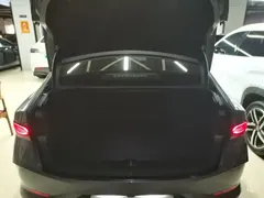 2025 BYD Qin PLUS DM-i PHEV Smart Driving 55km Leading — фото 19