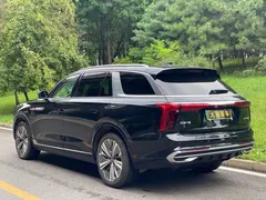 2021 Hongqi E-HS9 460km Qixiang 6-Seat, чёрный — фото 11